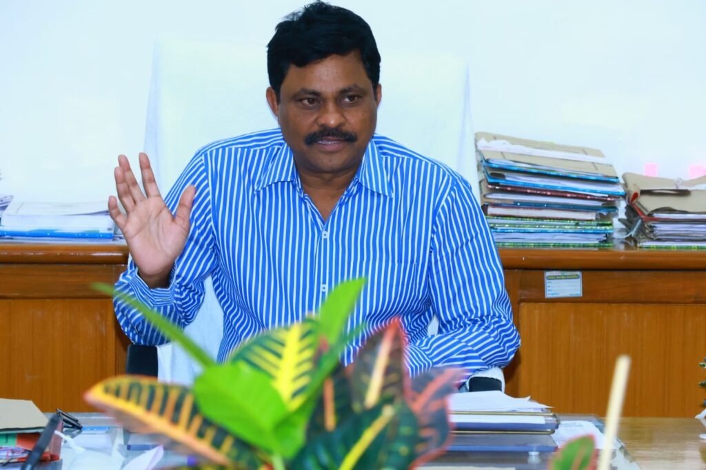 రాష్ట్ర అవతరణ దినోత్సవ వేడుకలపై రెవెన్యూ ఆదనపు కలెక్టర్ టెలీ కాన్ఫరెన్స్